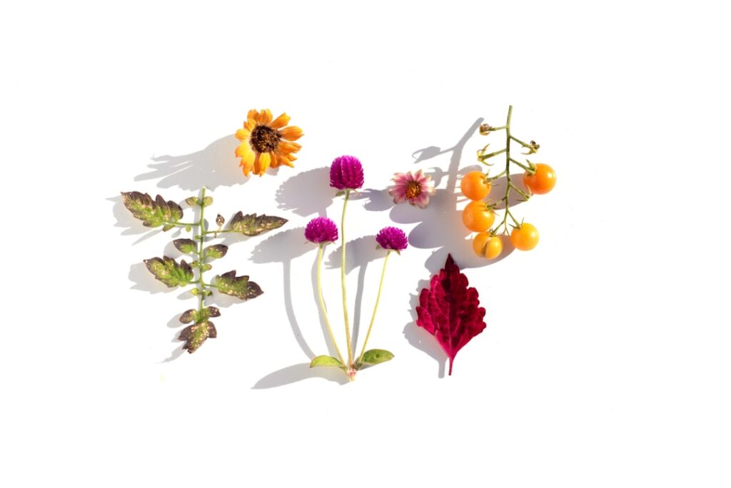 無添加シャンプー おすすめのイメージ