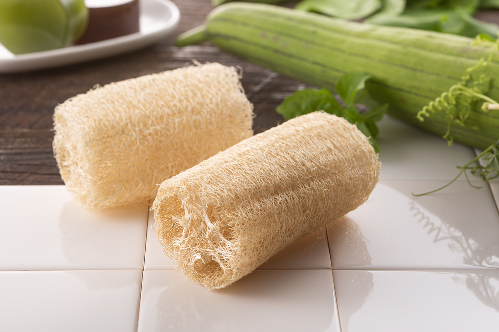 訳ありへちまたわし