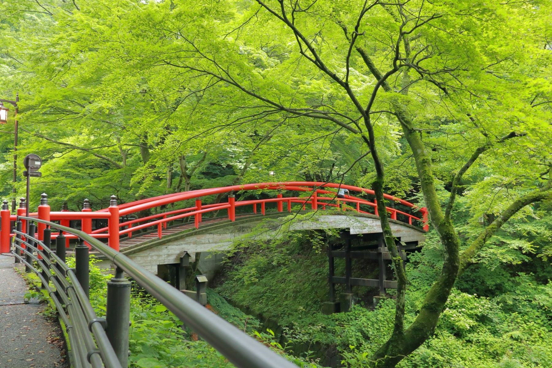 伊香保温泉の河鹿橋(朱色の太鼓橋)と新緑