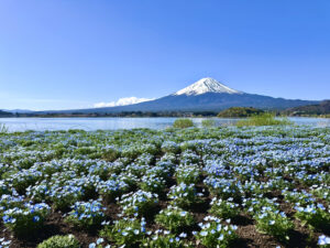 河口湖で親子で楽しむ1泊2日｜富士山とカチカチ山ロープウェイ