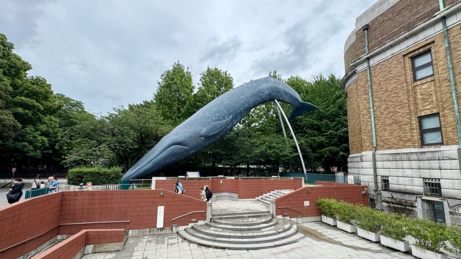国立科学博物館