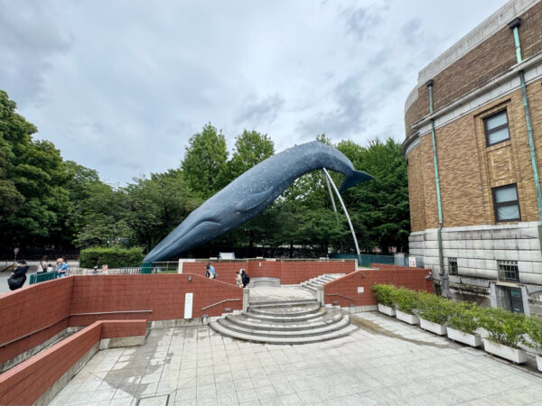国立科学博物館